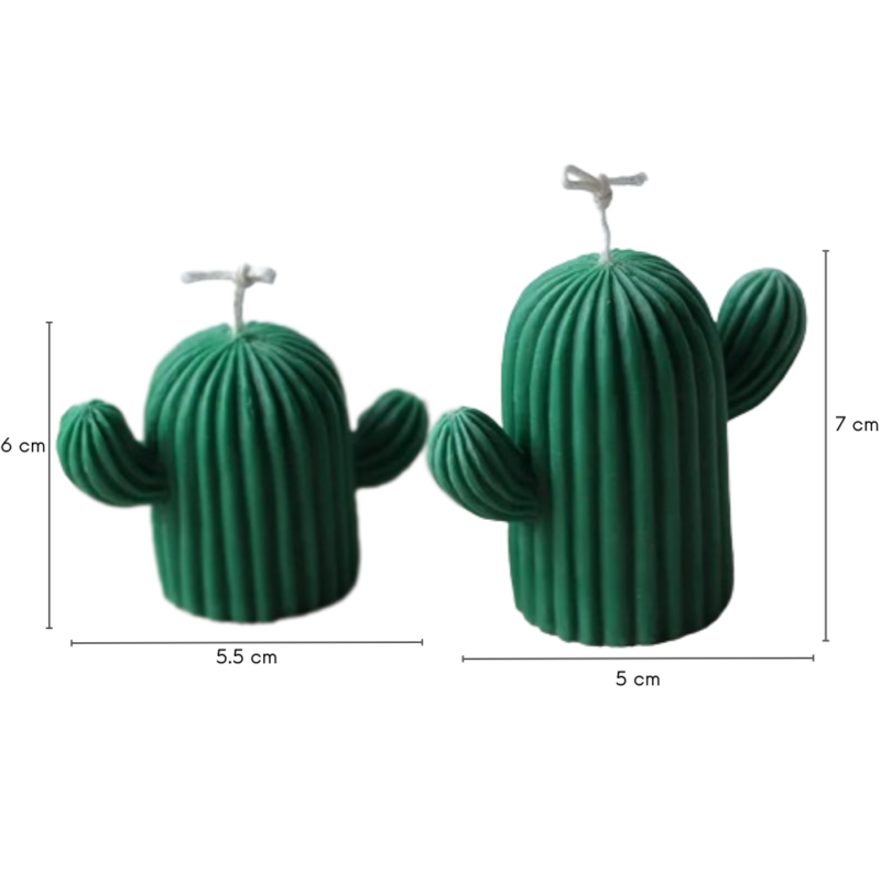 Kaars mal Cactus Set 2 Stuks