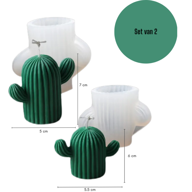 Kaars mal Cactus Set 2 Stuks