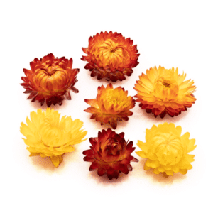 Gedroogde Helichrysum 10gr