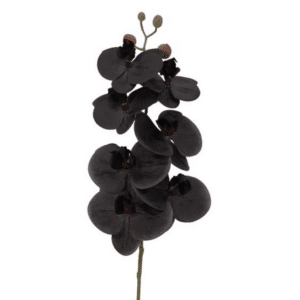 Geurolie Black Orchid