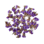 Gedroogde Vergeet-mij-nietje