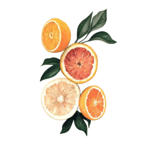 Geurolie Citrus – 10 ml